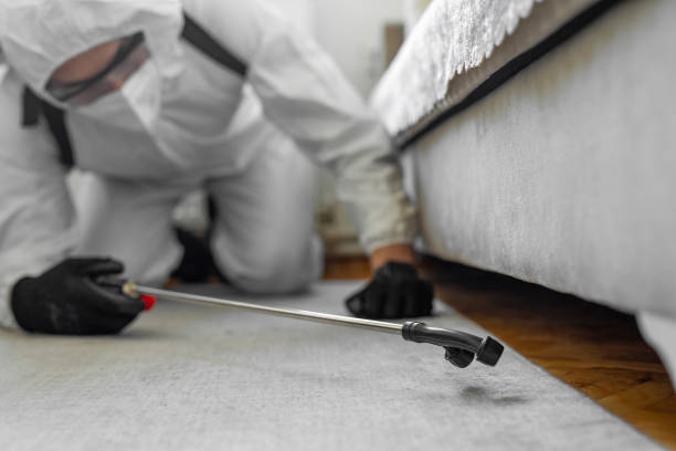 Professional Ant Control technician working in Cotton County County, OK